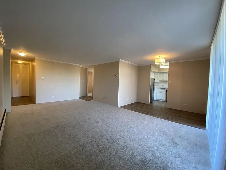 The Ogden Nines — Photo 11