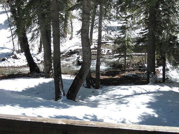 Bear Creek View