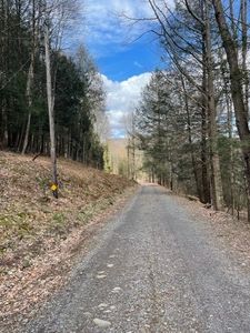 (Undisclosed Address), Andes, NY, 13731