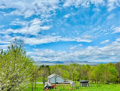 5097 Browntown Rd — Photo 66