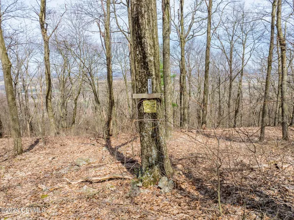 121 Evergreen Ln, Catawissa, PA 17820