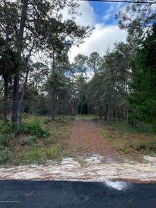 0 Michigan Ave, Weeki Wachee, FL, 34613