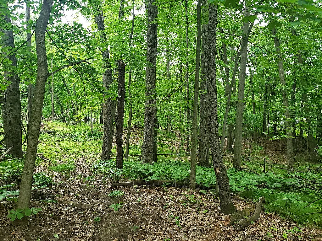 6033 Mill Stream Trl photo 1