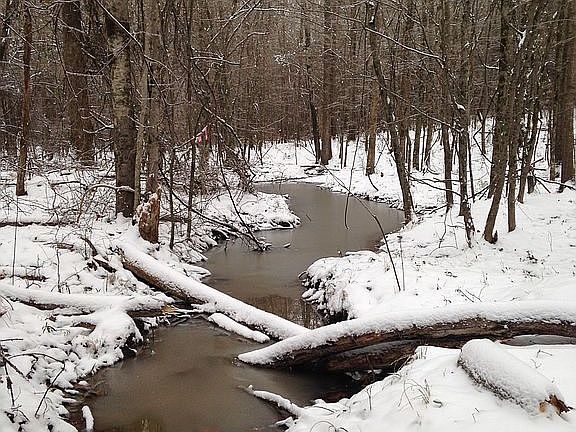 Creek water 9 out of 12 mo.
