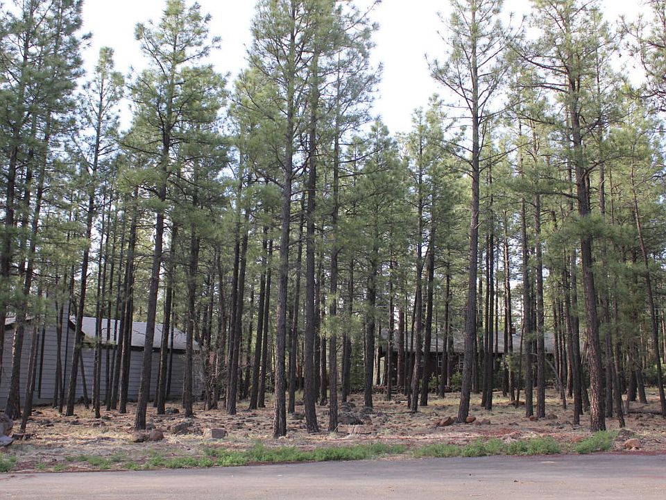 1st image of 2649 Black Bear Ln
