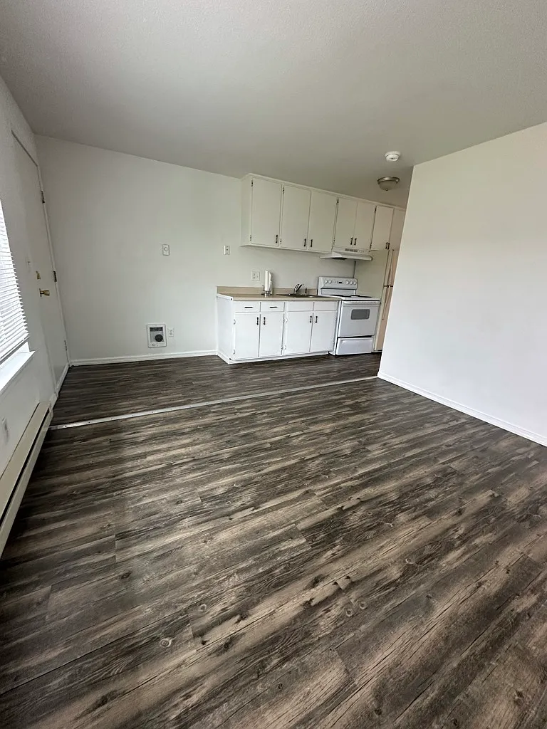 1 bed, 500 sqft, $995 — Photo 1