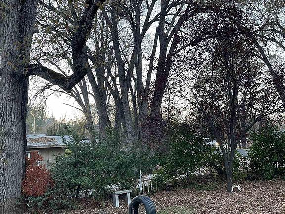 3rd image of 20517 Willow Springs Dr #338