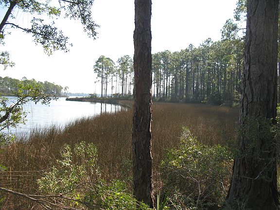 3rd image of 929 Tidewater Ln
