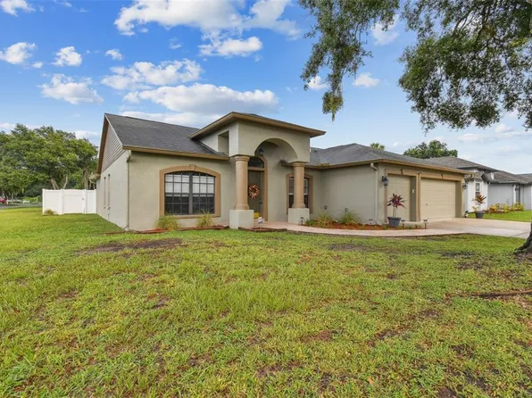 9802 La Vonda St, Riverview, FL 33569