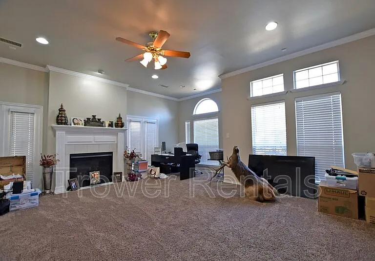 26 Dolores Ct — Photo 18