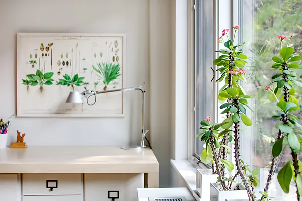 Sold by Compass | media 17