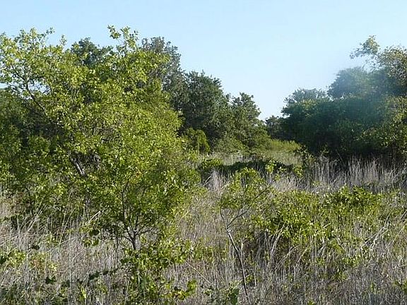 4th image of 300 W Fm 583 Lot 28