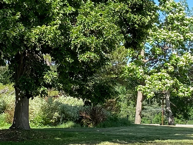 View from front porch, looking at SternPark