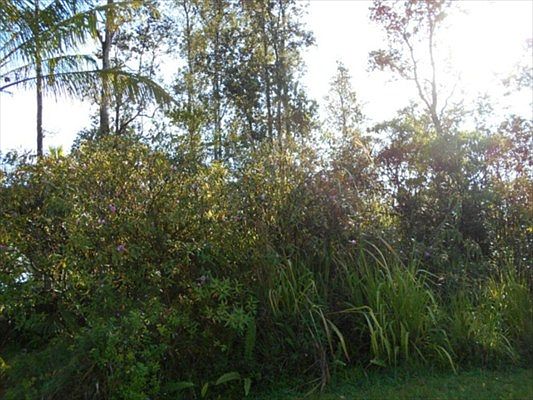 1st image of Ohia Dr Lot 69