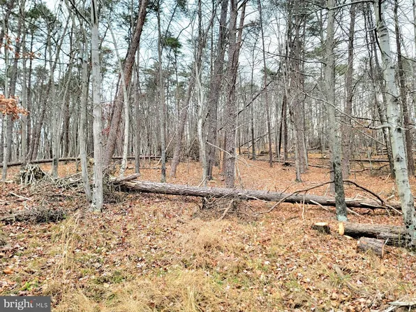 33 Circling Hawk Ln, Berkeley Springs, WV 25411