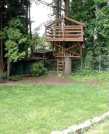 Everyone loves a tree house!