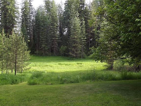 Meadow