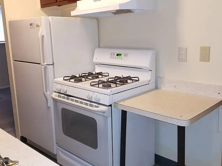 841 Silver Meadows Blvd — Photo 42