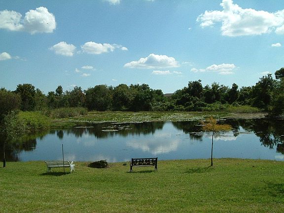 Pond view from pool area
