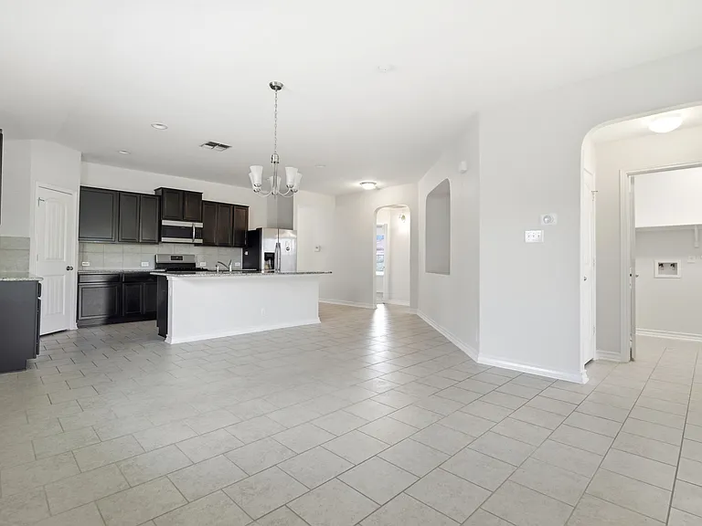 15441 Cooks Petrel — Photo 6