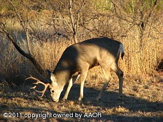 3rd image of 11701 Lost Creek Trl