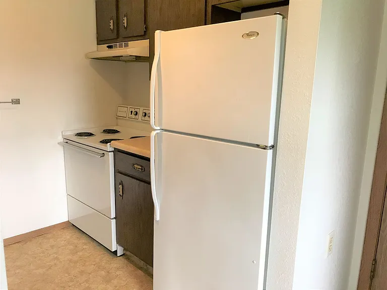 228 E Chicago Ave — Photo 3