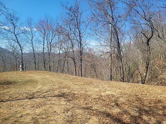 4th image of SR 1229 Dry Creek LOT 7-B