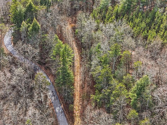 5th image of Steer Creek Rd