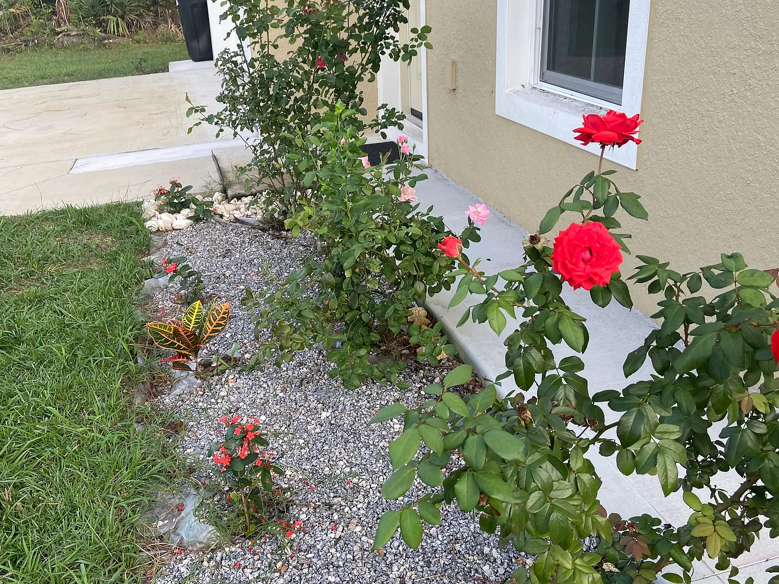 4 bed, 1517 sqft, $2,300 — Photo 2