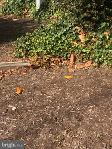 1541 Colonial Dr, Woodbridge, VA, 22192