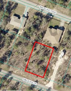 0 Malauka Dr #8, Ocklawaha, FL, 32179