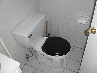 Rented by East Williamsburg Realty Inc