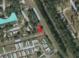100 Ivey St, Satsuma, FL 32189