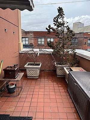 2nd image of 72-52 Metropolitan Ave #2A