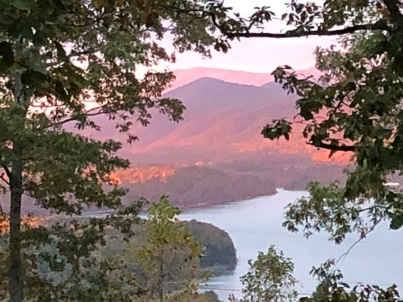 View from the porch!