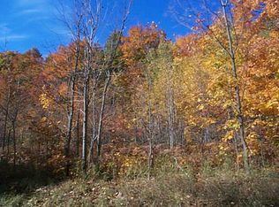 Henry Collins Rd, Wolverine, MI 49799