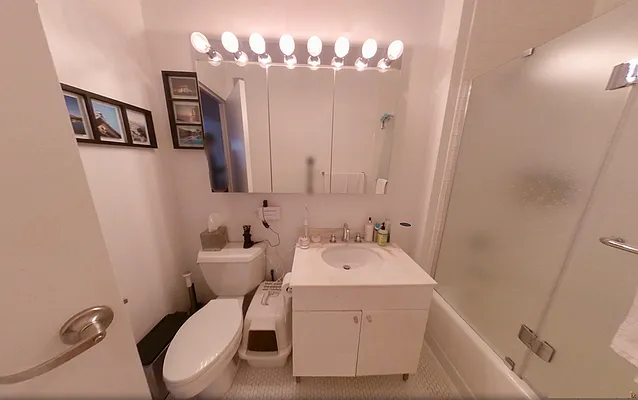 Rented by NY Living Solutions | media 28