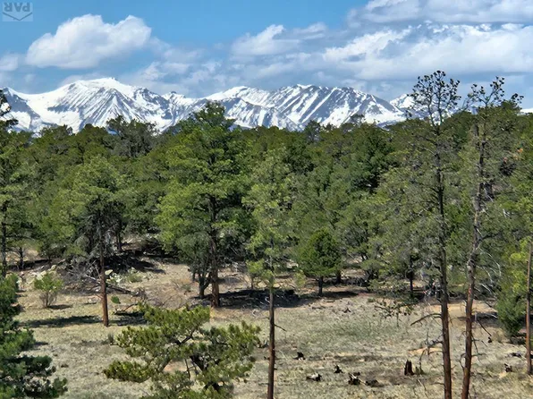 258 Shannon Trl, Cotopaxi, CO 81223