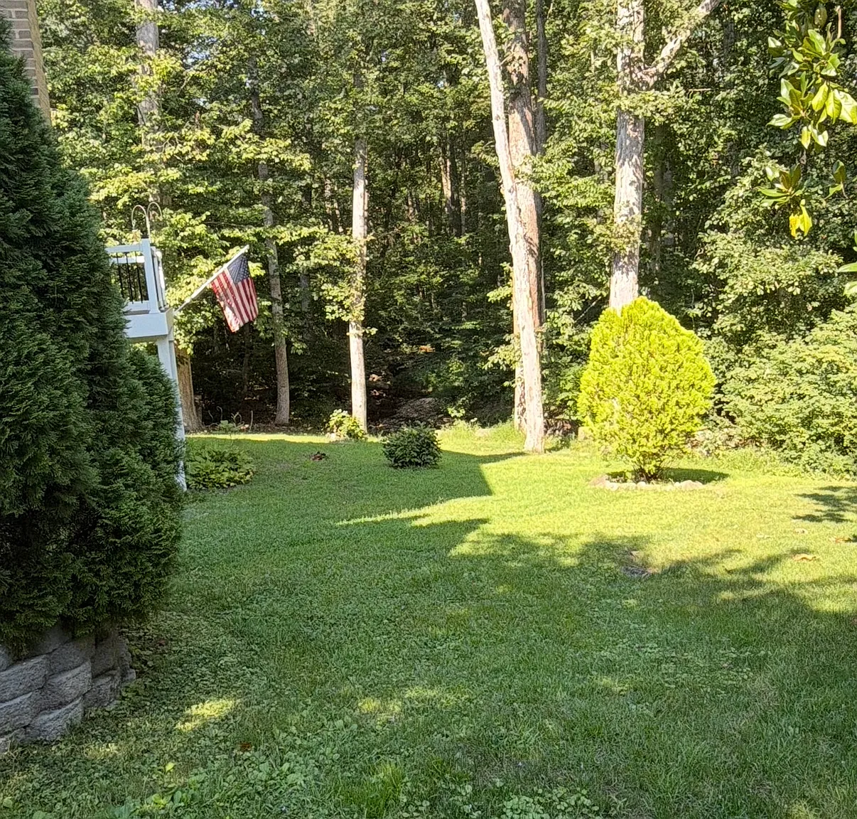 5 bed, 3.5 bath, 2542 sqft, $3,950 — Photo 4