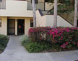 5th image of 2650 Countryside Blvd APT D104