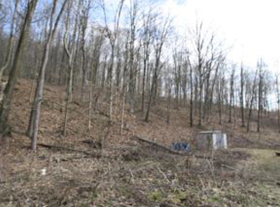 3rd image of 924 Cotterman Ln