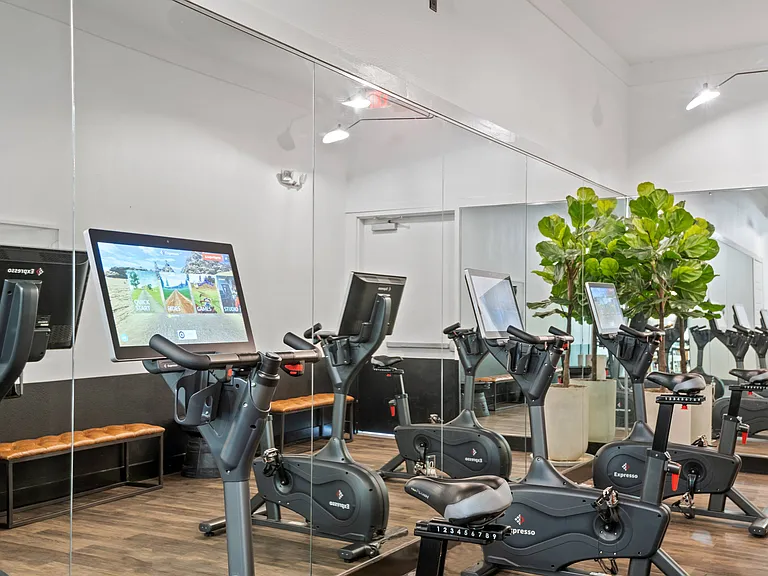 Fitness Center with Cardio Equipment