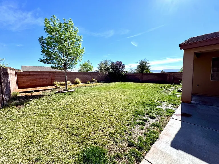 backyard_03232026