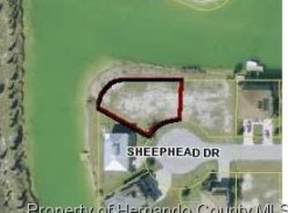 3383 Sheephead Dr, Hernando Beach, FL 34607