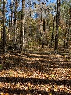 1st image of 1819 State Highway 698