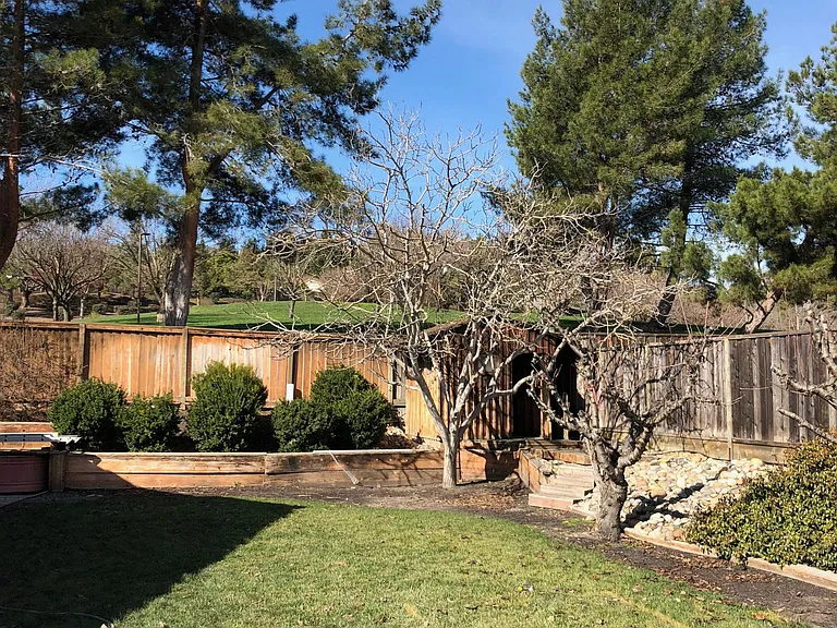 8074 Iglesia Dr — Photo 2