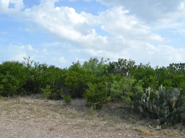 93 Los Centenarios Rd, Laredo, TX 78043