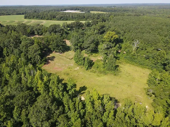1 County Road 3336, Brundidge, AL 36010