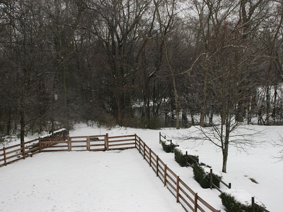 View from back deck