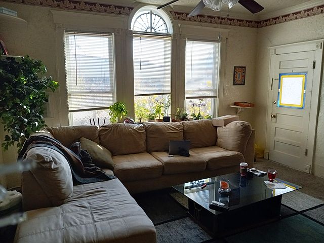 2537 Spruce Street #1 - living room/entry